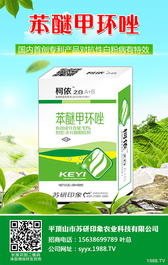     ��ذl(f��)�F(xi��n)���Ծ�������(y��ng)���赾��������뿾����Ŀ�ˎ�Ԇ��}