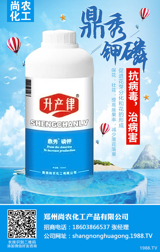     ���{(l��n)���Y(ji��)����ô�k�����{(l��n)���Y(ji��)��ԭ�򼰷��δ�ʩ��