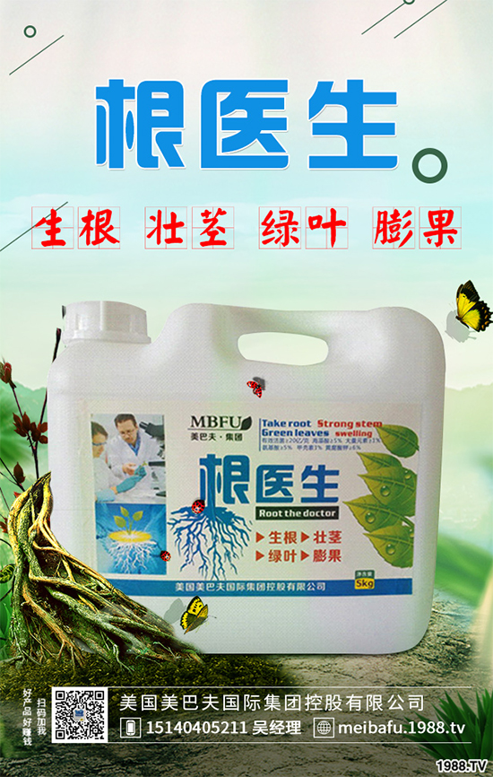 ������ʲô�r�򲥷N���������Ĳ��N�r�g��ע�����