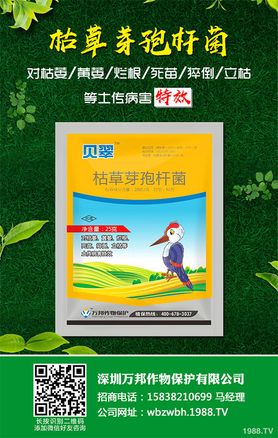 С����ù��ˎ������Ч����������׃����