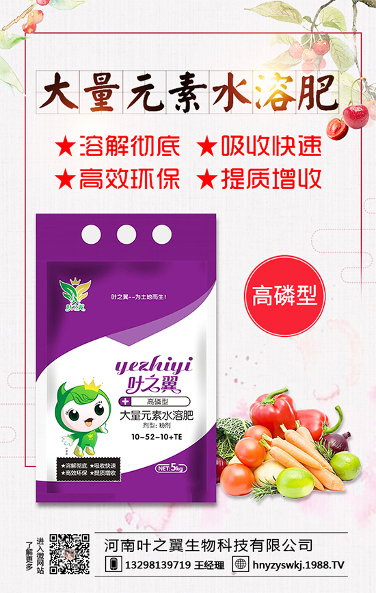 �������L��������Щ�����ɵ����g����Ҫ�c��