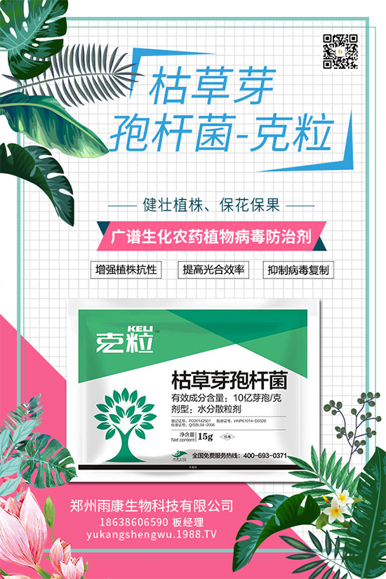 ��(gu��)��(n��i)��(d��)��(chu��ng)��ֲ��Դ����(x��)��ˎ���ذ���(l��i)�u��