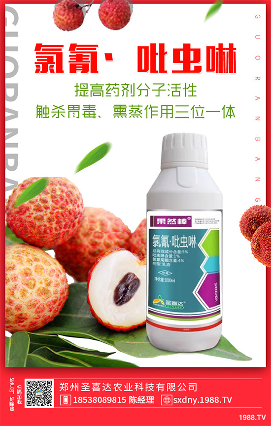 ��������ӛ���������x�y��߀�������������T��Ҫ���(qu��n)��������