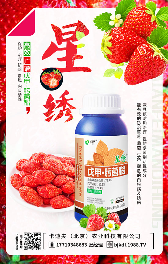 ����Ҫ��Ҫ���������������_��֦�������