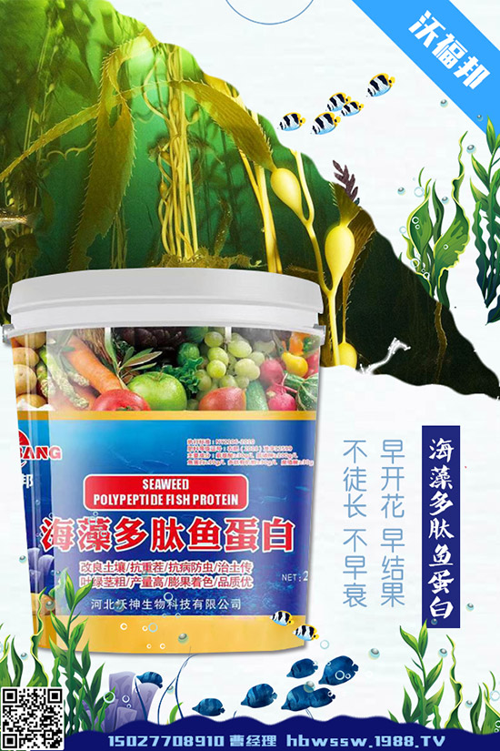     ���ӷNֲ��Ҫע����Щ���}�����ӵ�ˮ�ʹ���Ҫ�c(di��n)��