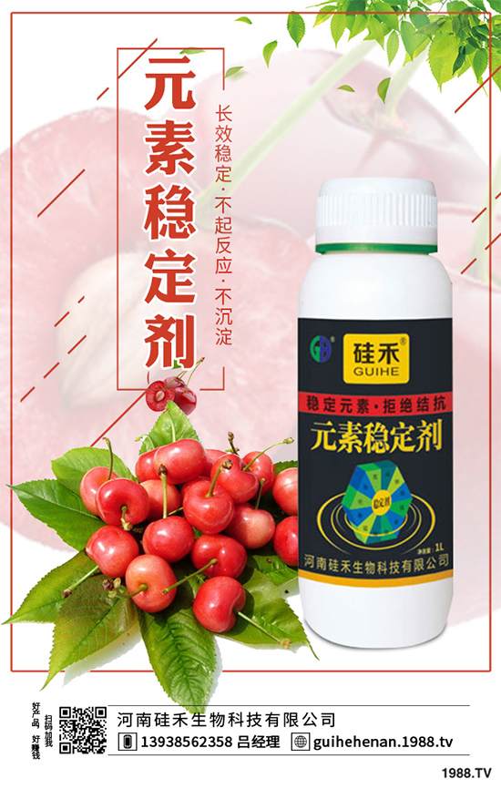 ��ˎԓ��ô�Nֲ����ˎ�Nֲ�İ˴��E��������(hu��)���