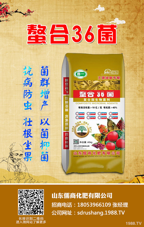     2020��4�µ�����������(n��i)��(f��)�Ϸʃr(ji��)���������u