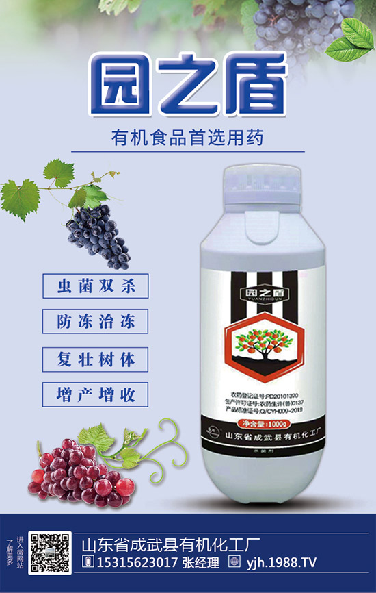 �J�S���ʩ�����J�S��ʲô���Ϻ����J�S������c��ע����헣�