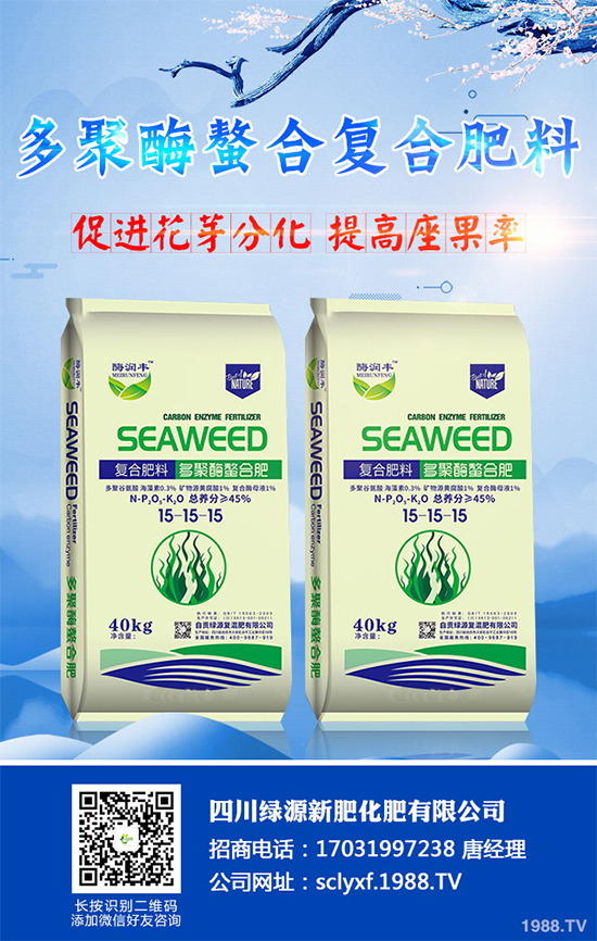 ���տ�ʲô�r�򲥷N��ԓ��ι������߮a(ch��n)���տ��߮a(ch��n)�Nֲ�������g(sh��)