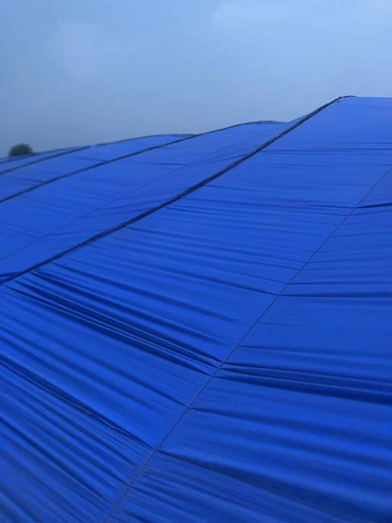     ����ý��؄�-�{ɫ-�����S