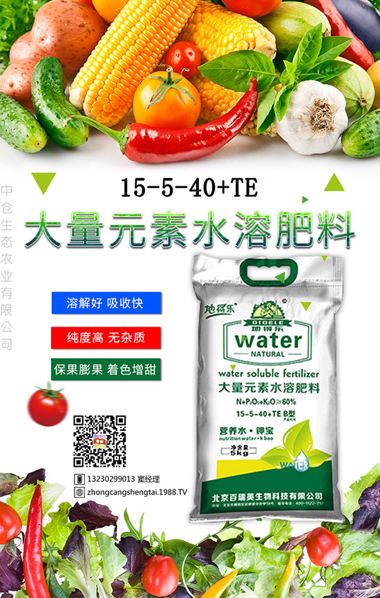 仙人球這樣養(yǎng)才不會(huì)死！金琥繁殖及栽培養(yǎng)殖管理！