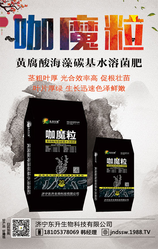 С����ʲô�g�Nֲ�r��С���۷Nֲ����Ҫ�c��