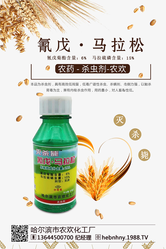 �x���߷��ڡ������xຸ�Ч���x�����Դ���գ�