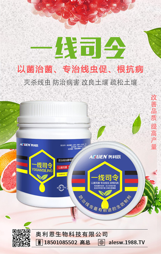 豌豆基腐病有什么危害？豌豆基腐病的發(fā)生規(guī)律及防治！