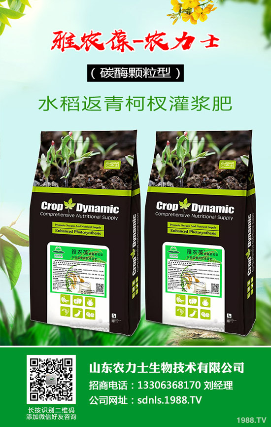     �q�r���q�r�����؞�ɶ�֝q�r��2020-4-9���ո�������r������