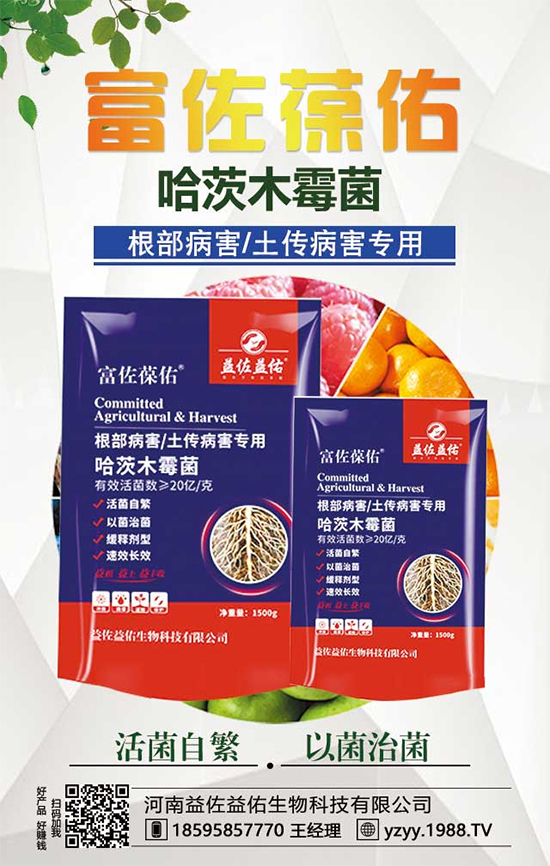 ���^����ʲô�I�B(y��ng)�rֵ�������^��ʲô��̎��