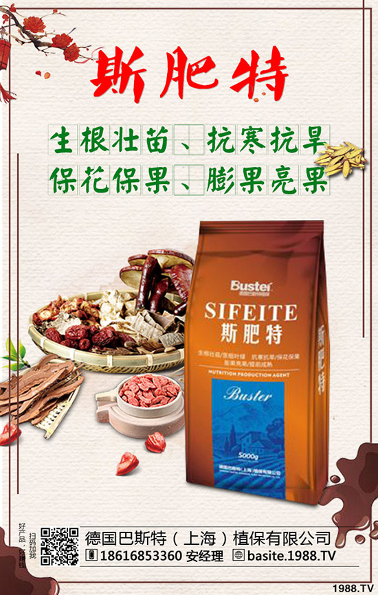 西瓜苗幾月份移栽，西瓜苗定植移栽技術(shù)及注意事項(xiàng)！