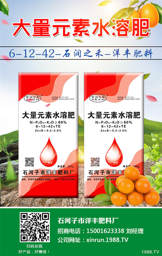 黃瓜嫁接好在哪里？有何優(yōu)勢？黃瓜嫁接的流程及注意事項