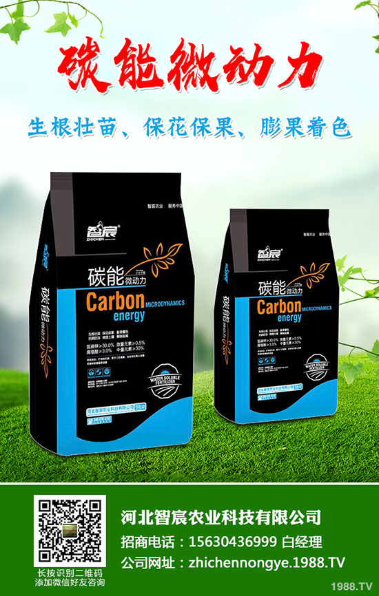 5����(n��i)�׷��Ј���ȥ�Ώ�������һ�@���@�r�������߄��A�y��