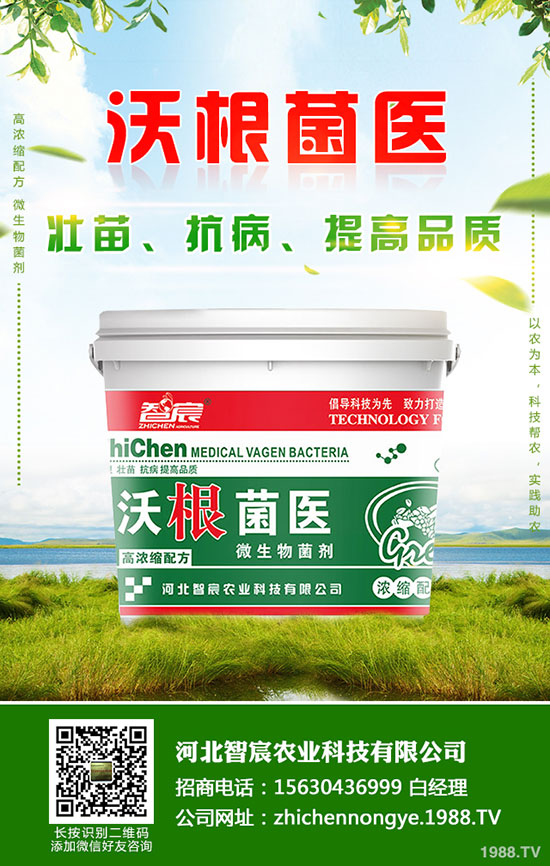 ⛷ʃr�����wƫ���\(y��n)�У�����⛷��������2020-5-15��