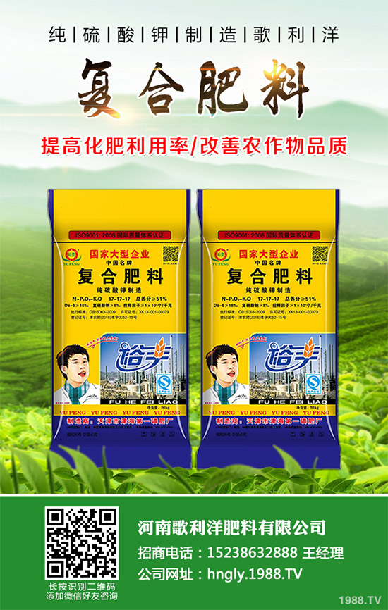 ���·��σr���߄ݷ���