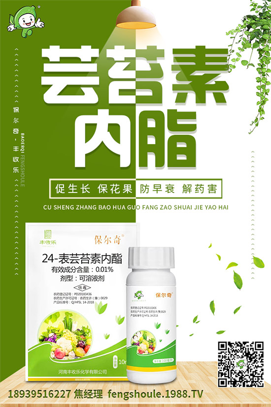 草珊瑚該怎么種植？如何種植能高產(chǎn)？草珊瑚高產(chǎn)種植技術(shù)