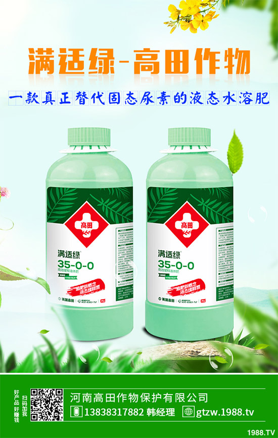 草珊瑚有哪些神奇功效？中藥材草珊瑚的作用及功效！