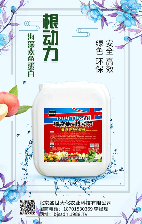 ��֦���L�h(hu��n)��Ҫ������֦��޽ӷ�����ʩ��ԭ�t��