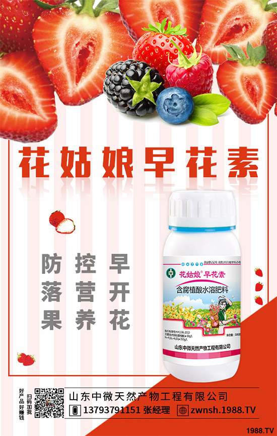 ���؃r(ji��)�������߄�