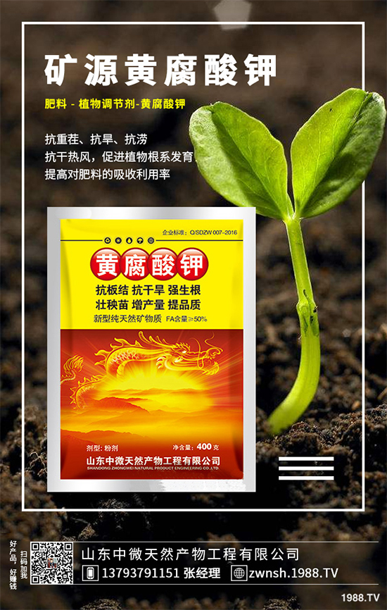 ����(n��i)⛷ʃr��������(b��o)