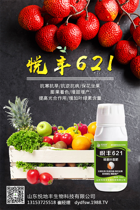 �t����֪��ԓ��������᣿