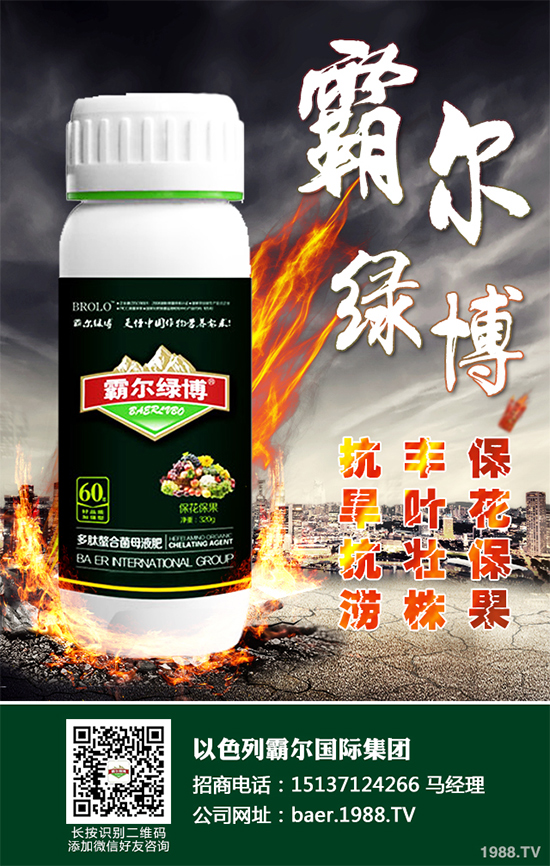 ������ʲô�r�򲥷N��2020���������粥�����ă�(y��u)ȱ�c����