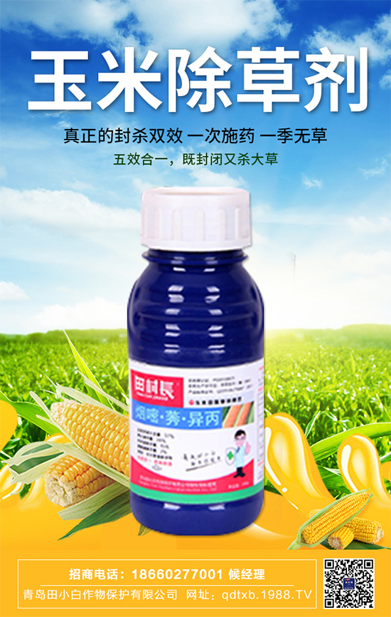 ���׷N�Ӱ�N��ʲô�������������ڹ���Ҫ�c��