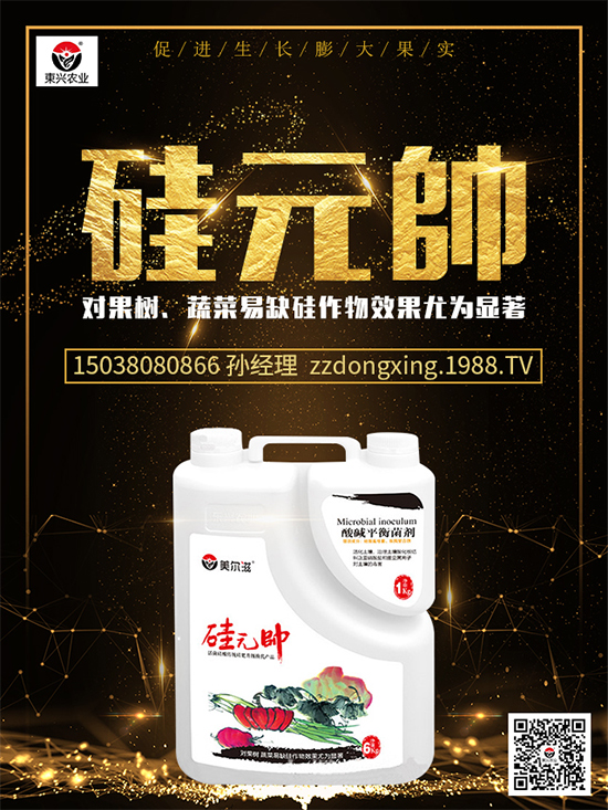 ⛷ʃr�������Ո�