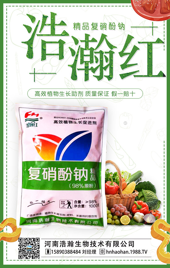 番茄什么時間種植，番茄種植技術及管理要點！