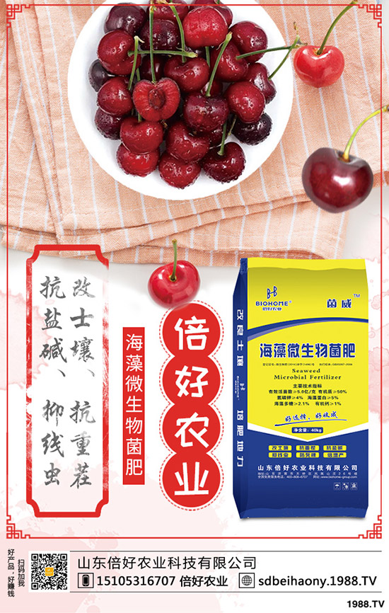     棉花的生長周期多少天？棉花生長各個(gè)時(shí)期的表現(xiàn)有哪些？