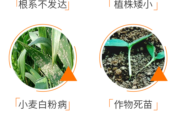 ���@����⛾�-�Z��_07