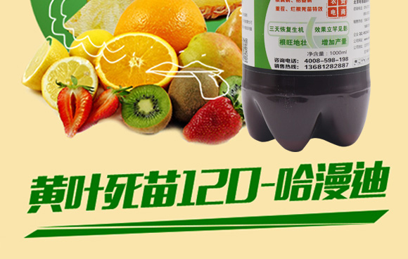 �S�~����120-������-�ο�ֲ��_02