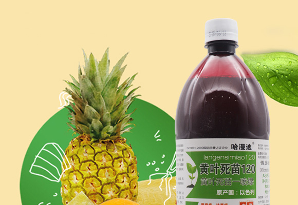 �S�~����120-������-�ο�ֲ��_01