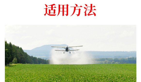 �����-�ο�ֲ��_07