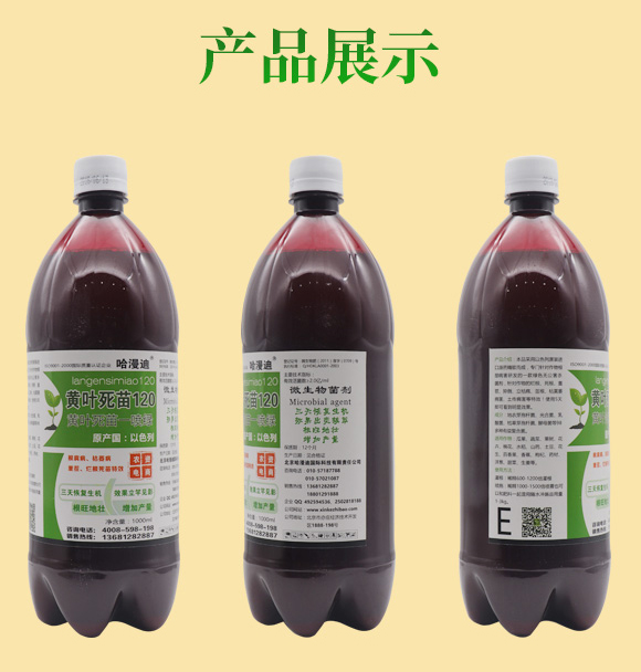 �S�~����120-������-�ο�ֲ��_04