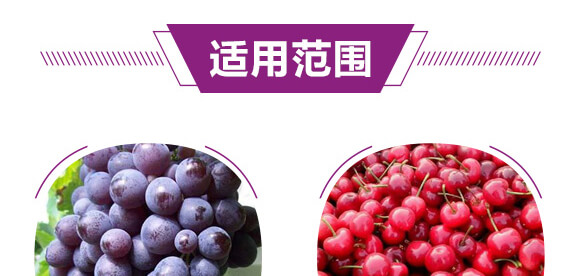 ������͏ͺϷ���12-8-28-����Ԫ�����-���r(n��ng)��_06