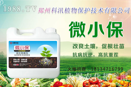 ����Ĺ�Ч�c���ã������c�����Ă����РI�B(y��ng)��