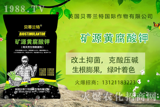 ���ܹ���ô�N�����ܹϷNֲ��(y��ng)ԓע����Щ���(xi��ng)��