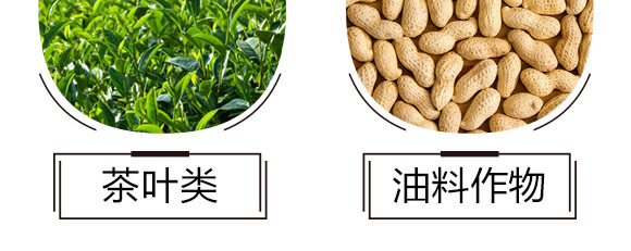 ̼?x��)�˷?�{(l��n)���T(m��n)-̼?x��)�?gu��)�H_07