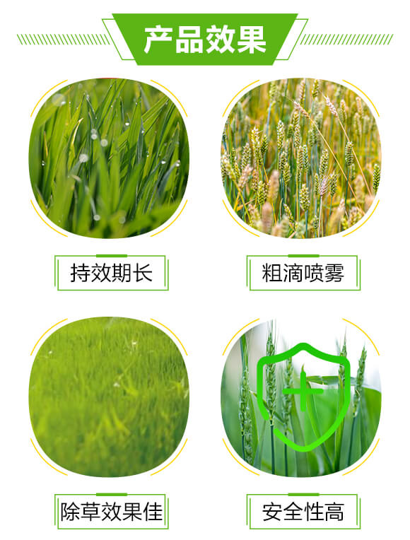 ���԰޲݌���-�޵�-�����з�_03