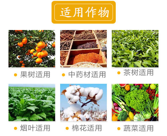 黃腐酸有機(jī)無(wú)機(jī)復(fù)混肥-汲養(yǎng)源-鑫東肥業(yè)_04