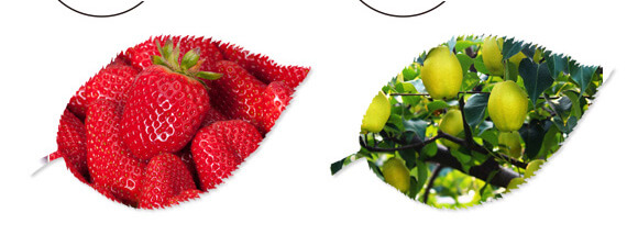 ̼?x��)�˷?�{(l��n)���T(m��n)-̼?x��)�?gu��)�H_10