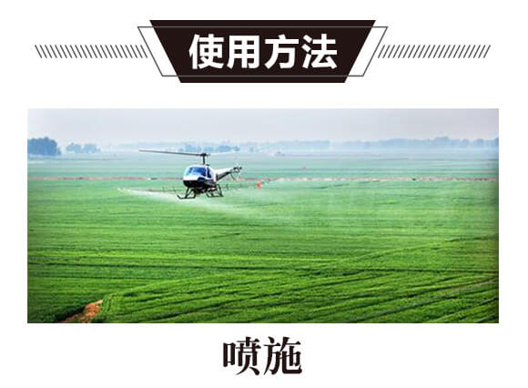 ̼?x��)�˷?�{(l��n)���T(m��n)-̼?x��)�?gu��)�H_11