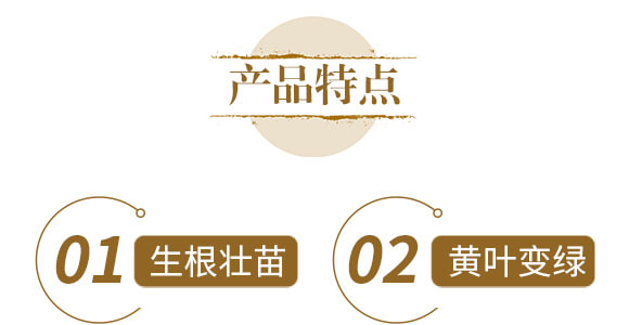 ��ˎ�ĠI�B(y��ng)���a-����ֲ��ˮ�ܷ�-�����r(n��ng)��_05